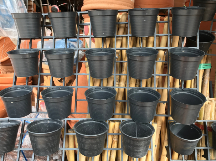 горшок для орхидеи как выбрать горшок для орхидеи как выбрать